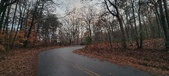 Enlarge photo 145