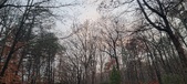 Enlarge photo 144