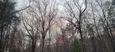 Enlarge photo 143