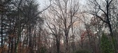 Enlarge photo 142