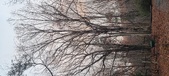 Enlarge photo 141