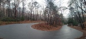 Enlarge photo 139