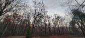 Enlarge photo 137