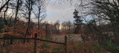 Enlarge photo 136