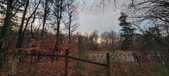 Enlarge photo 135