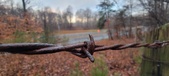 Enlarge photo 133