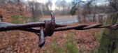 Enlarge photo 130