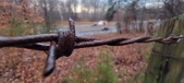Enlarge photo 131