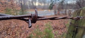 Enlarge photo 132