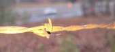 Enlarge photo 128