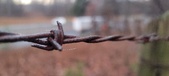 Enlarge photo 126
