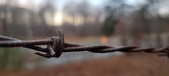 Enlarge photo 122