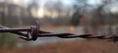 Enlarge photo 123
