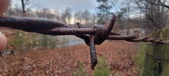 Enlarge photo 124