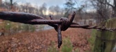 Enlarge photo 120