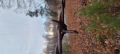Enlarge photo 118