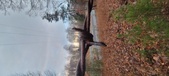 Enlarge photo 117