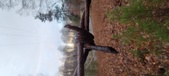 Enlarge photo 113
