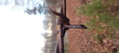 Enlarge photo 114
