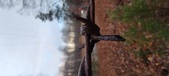 Enlarge photo 115