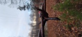 Enlarge photo 116