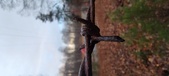 Enlarge photo 112