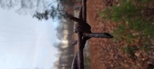 Enlarge photo 111