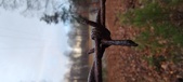 Enlarge photo 109