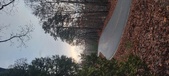Enlarge photo 88