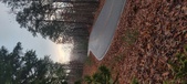 Enlarge photo 87