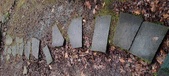 Enlarge photo 107