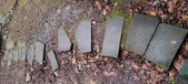 Enlarge photo 106