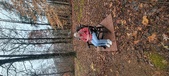 Enlarge photo 96