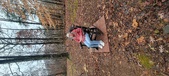 Enlarge photo 92