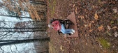 Enlarge photo 91