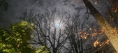 Enlarge photo 81