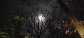 Enlarge photo 80