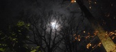 Enlarge photo 79