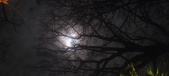 Enlarge photo 77