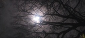 Enlarge photo 75