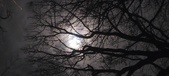 Enlarge photo 76