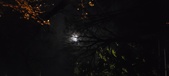 Enlarge photo 71