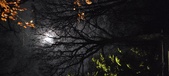 Enlarge photo 70