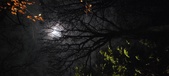 Enlarge photo 69