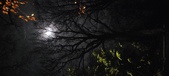 Enlarge photo 68