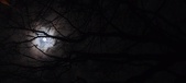 Enlarge photo 67