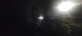Enlarge photo 64