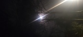 Enlarge photo 62