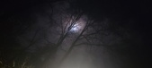 Enlarge photo 59