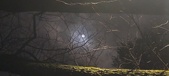 Enlarge photo 55